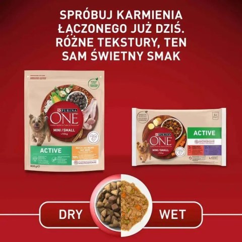 Purina ONE MINI Dog Active GiG wołowina, ziem. 85g