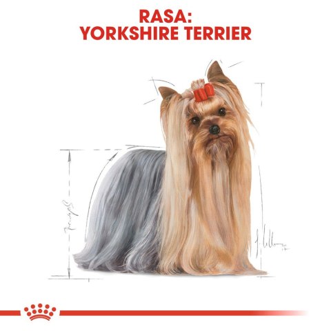 ROYAL CANIN BHN Yorkshire Terrier Adult - mokra karma dla psa dorosłego - 12x85g