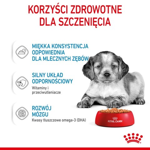 ROYAL CANIN SHN Medium Puppy w sosie - mokra karma dla szczeniąt - 10X140g