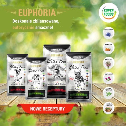 BIOFEED Euphoria G-F psy SMALL&MID jagnięcina 2kg