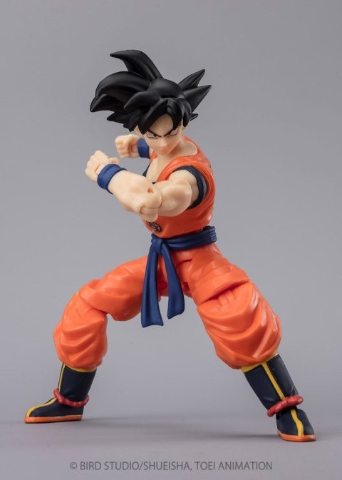 DRAGON BALL SUPER EVOLVE - SON GOKU