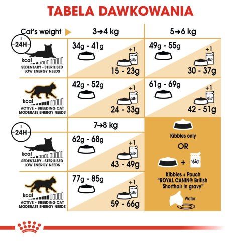 ROYAL CANIN FBN British Shorthair Adult - sucha karma dla dorosłego kota - 10kg