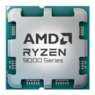 Procesor AMD Ryzen 9 9900X Tray