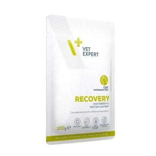 VetExpert Veterinary Diet Recovery Cat 100g Pouch