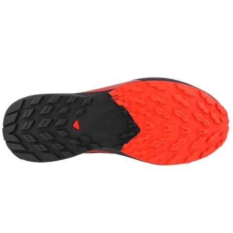 Buty Salomon Sense Ride 5 M 472143