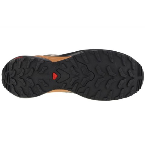 Buty do biegania Salomon X-Adventure GTX M 473213