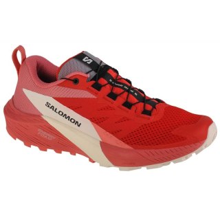 Buty do biegania Salomon Sense Ride 5 W 472152