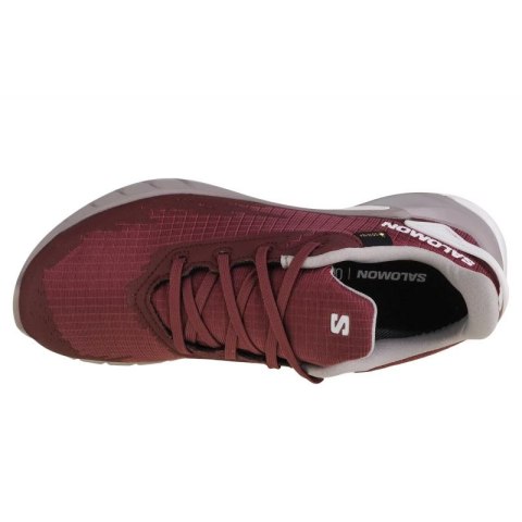 Buty do biegania Salomon Alphacross 4 GTX W 471174