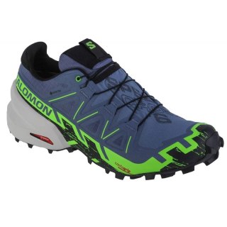 Buty do biegania Salomon Speedcross 6 GTX W 473019