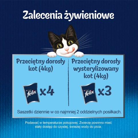 PURINA Felix Fantastic: wiejskie smaki - karma dla kota - 24 x 85g