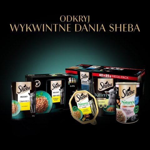 Sheba Delicacy Rybne Smaki w galaretce 80x85g