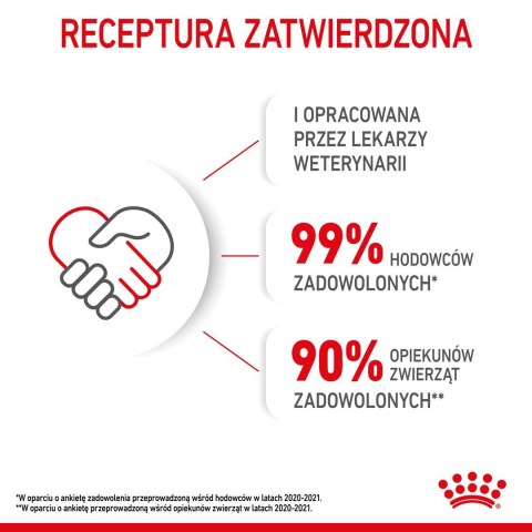 ROYAL CANIN FHN Kitten - sucha karma dla kociąt - 10kg